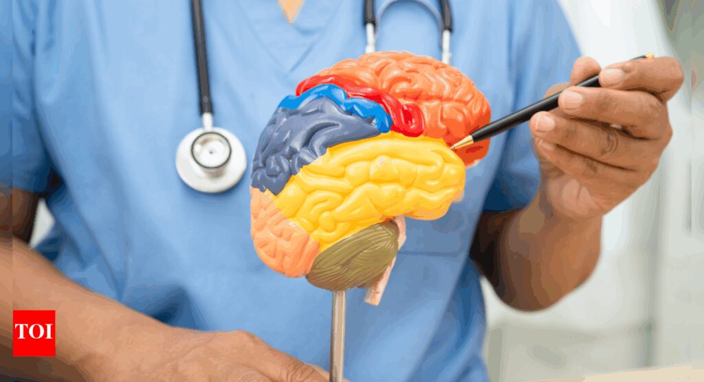Boost brain health: How MIND diet with these 3 lifestyle habits can sharpen memory at any age