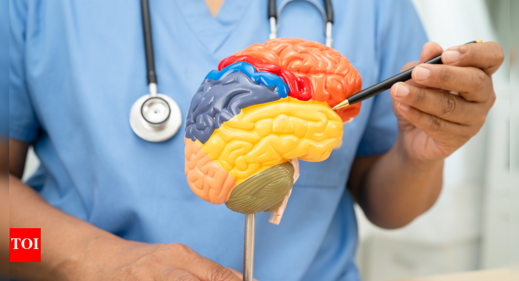 Boost brain health: How MIND diet with these 3 lifestyle habits can sharpen memory at any age