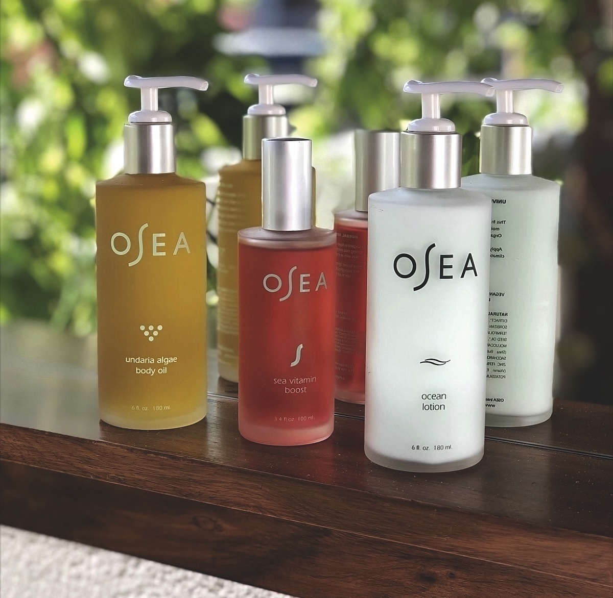 Osea Lands Investment for Global Expansion