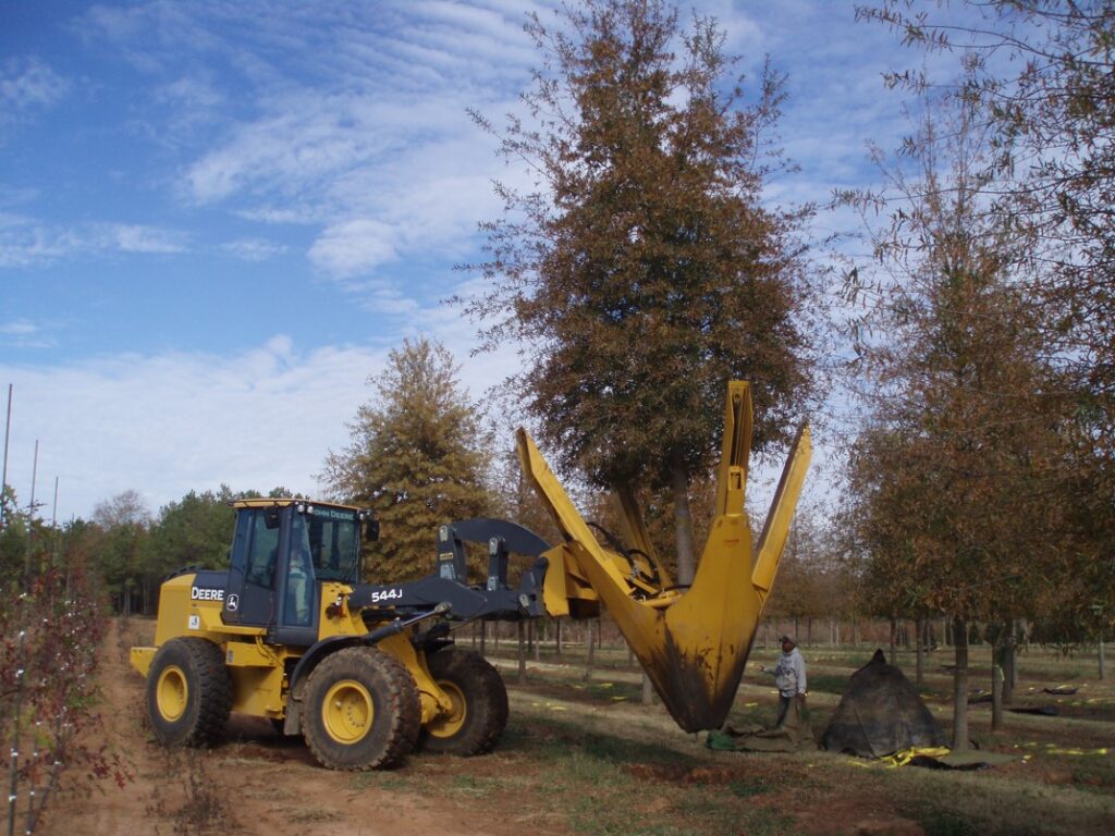'They keep us in business,' Alabama farmers praise guest-worker wage decrease