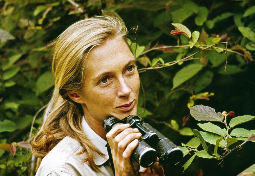 Jane Goodall Taught The World Empathy, Here Are 3 Things Business Leaders Can Learn
