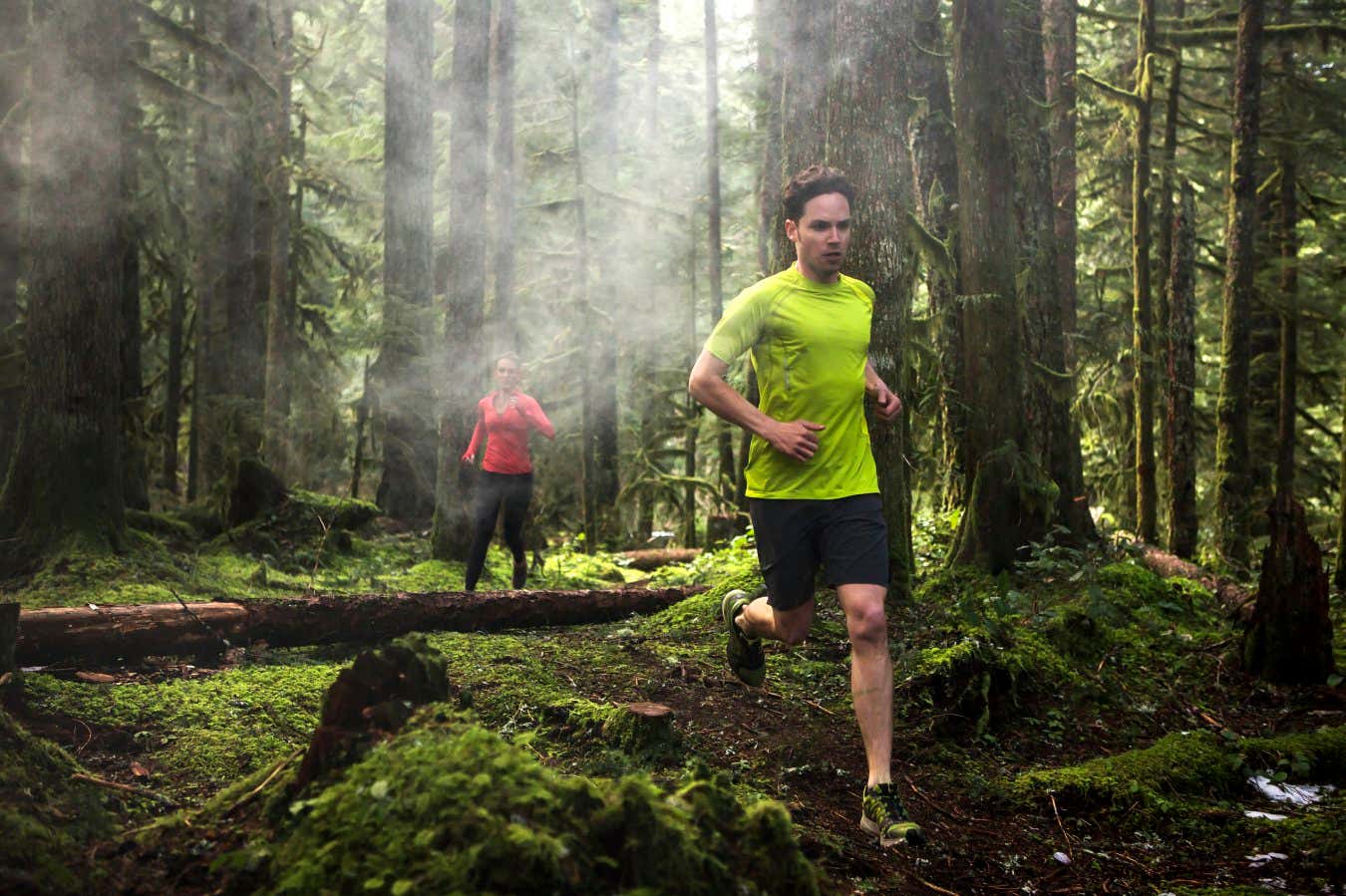 Joggers in a forest. Physical activity can help the brain resist the ravages of Alzheimer's