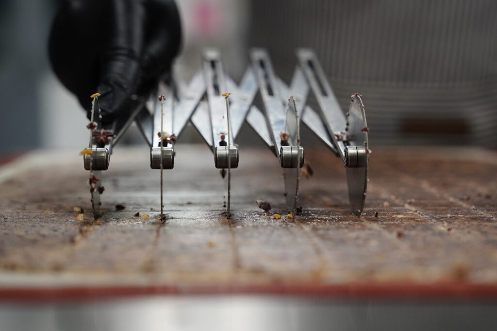 Jina Wye’s assistant Grace Gregg cuts limu-cracker batter at the Wahiawā Value-Added Product Development Center Wednesday, Sept. 17, 2025, in Wahiawā. The center makes producing her “Made in Hawaiʻi” crackers easier with facilities and amenities usually owned by mass-production companies. (Kevin Fujii/Civil Beat/2025)