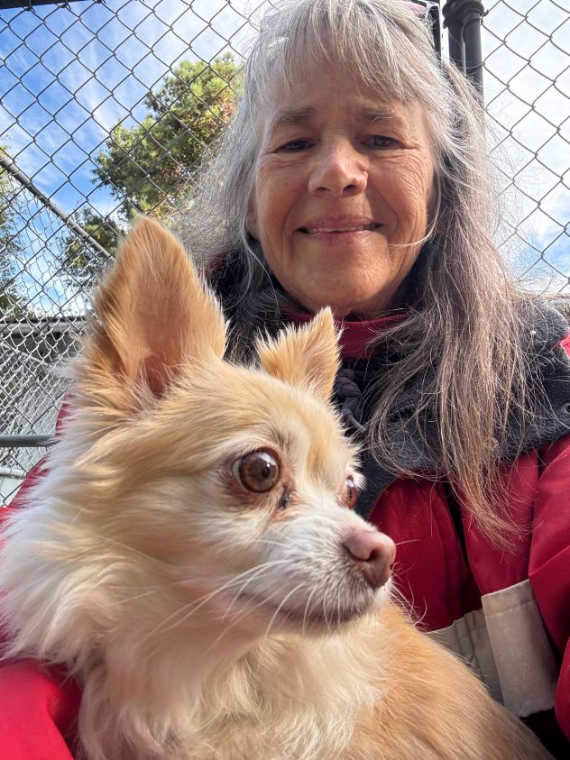 Pam Anderson is caring for fewer dogs at Ocean Sands K-9 Resort in North Carolina because some local residents and tourists are canceling their vacations due to the government shutdown.
