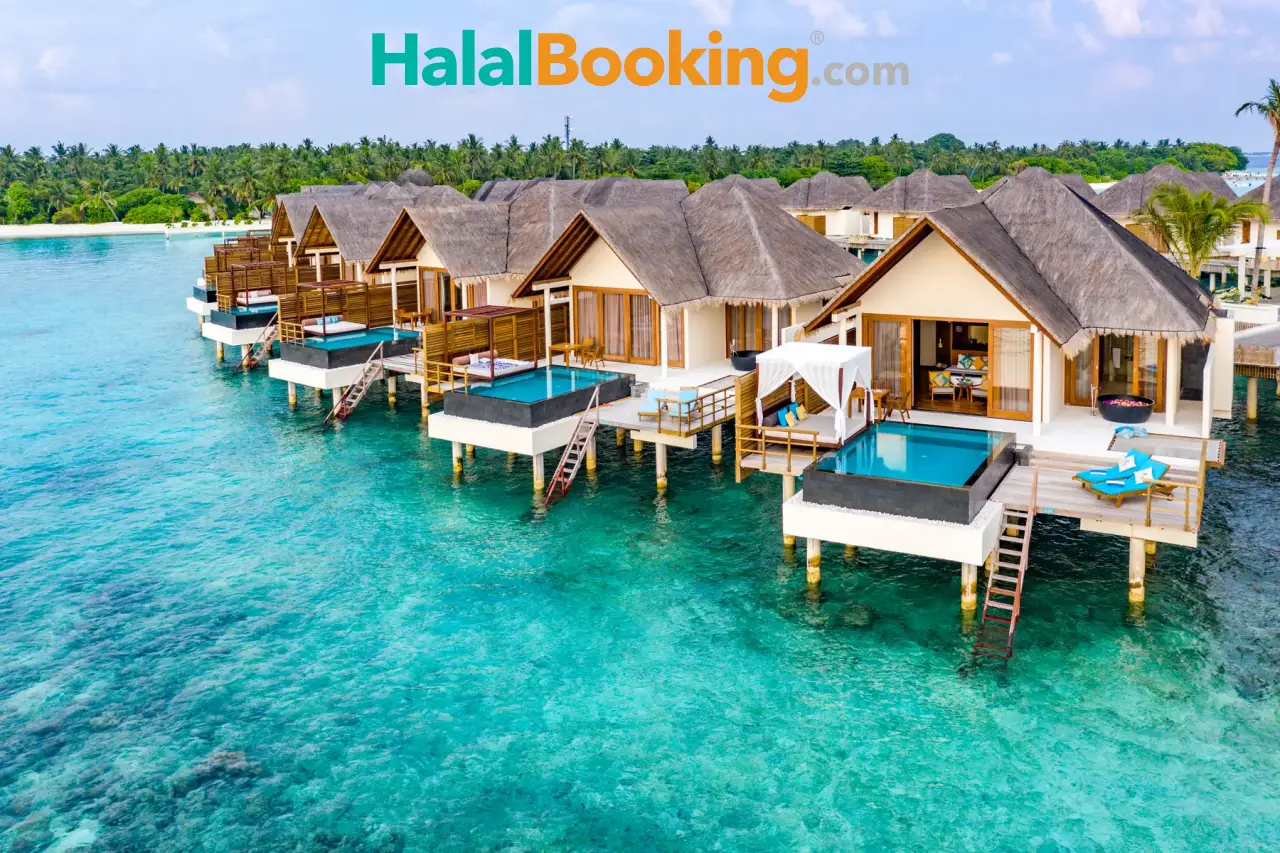 $5 Million Investment Fuels HalalBooking’s Global Growth Plans - Focus on Travel News