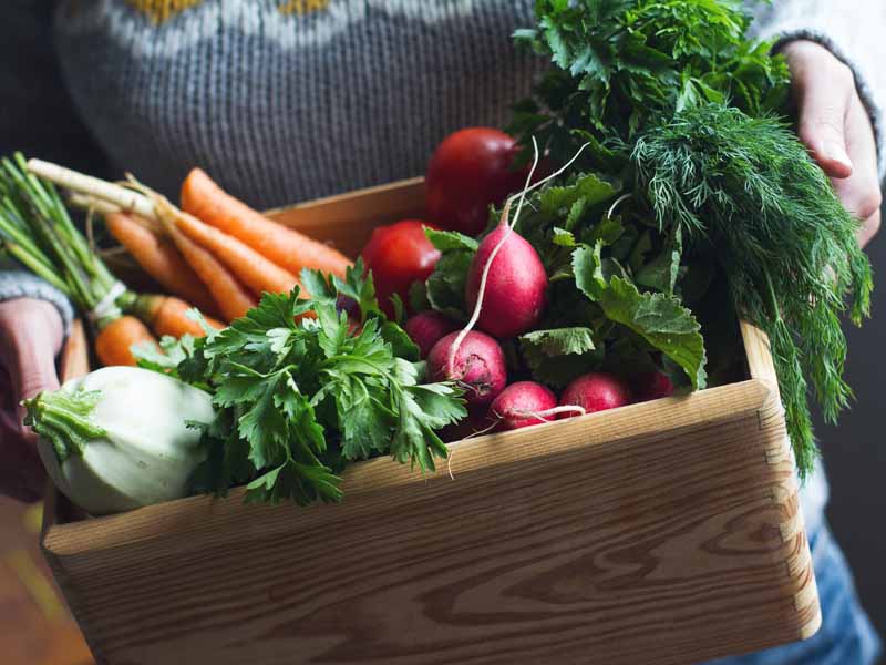 AAFP Pilot Program Shows Value of Lifestyle Medicine