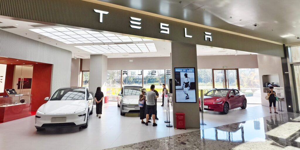 China Car Fans Weigh in on Tesla's New Affordable Models