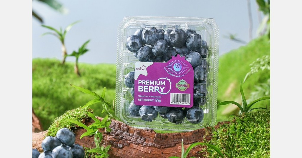 China’s blueberry production rises 35%, overtaking imports in e-commerce sales