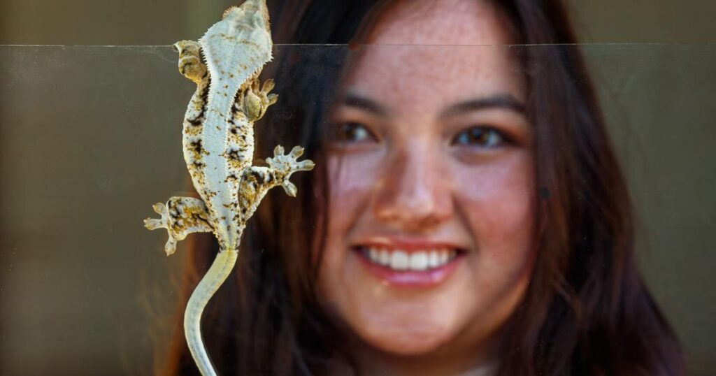 Colleges, universities investing in undergrad entrepreneurs | Innovation