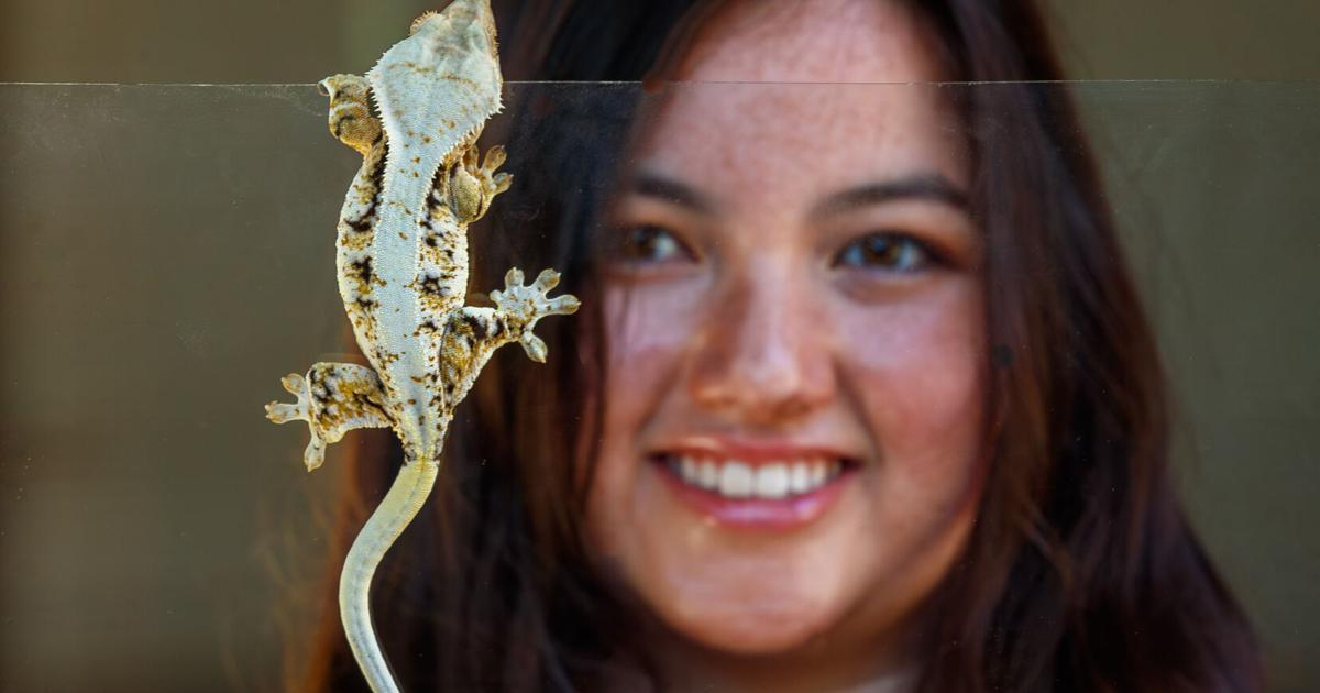 Colleges, universities investing in undergrad entrepreneurs | Innovation