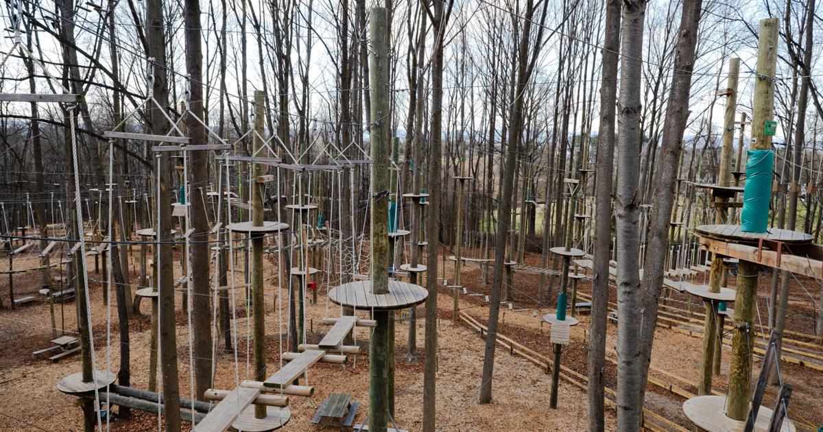 County recognizes businesses, groups for sustainability efforts