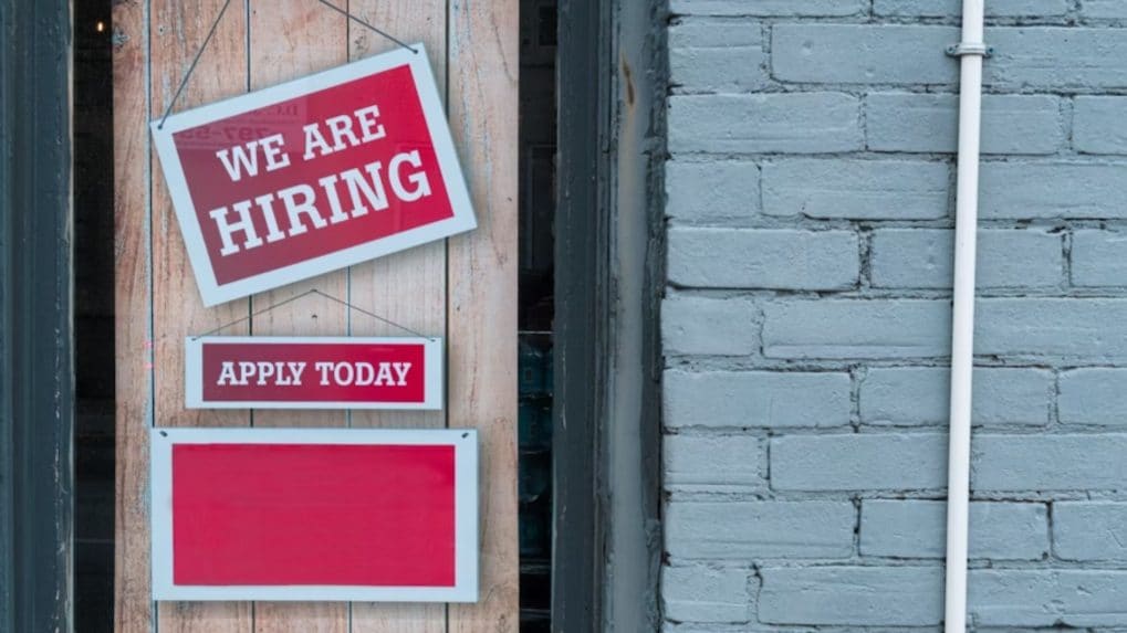 E-commerce, tech start-ups, logistics lead employment surge with highest net job gains: Report