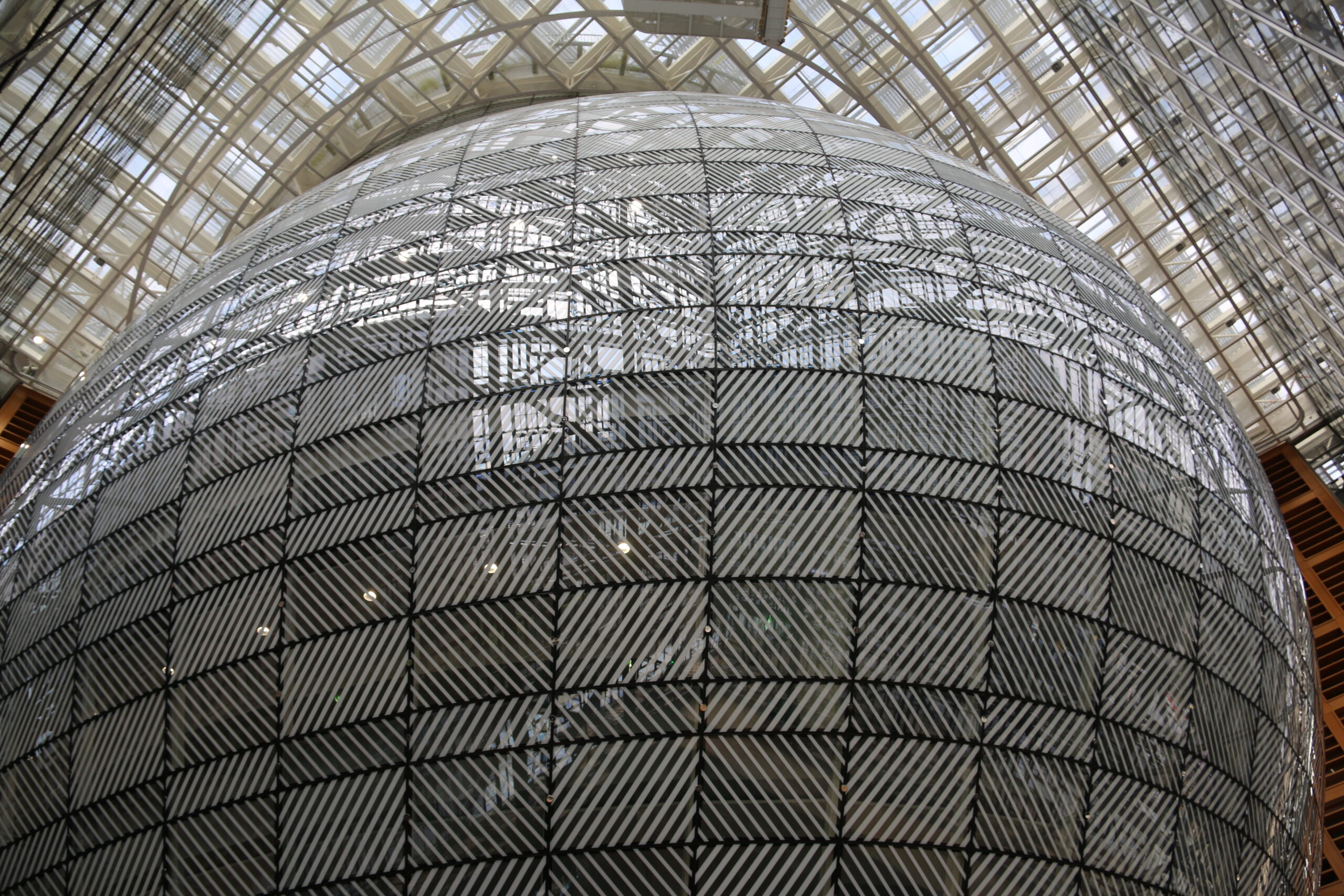 EU lawmakers loosen business sustainability reporting and due diligence requirements - JURIST