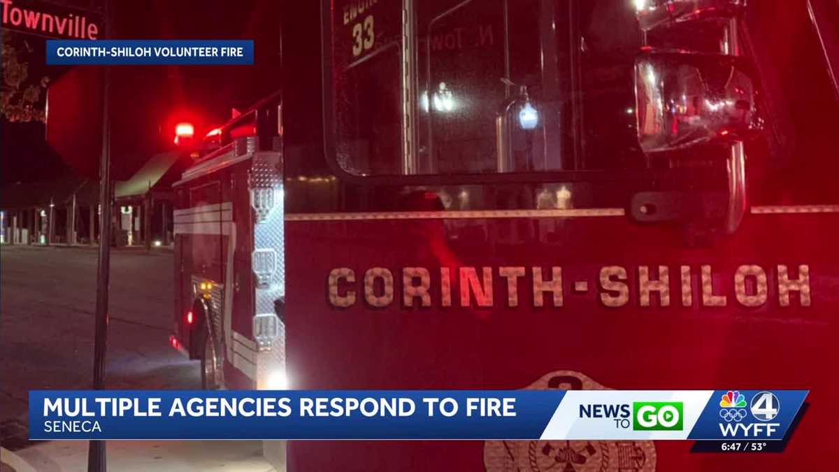 Fire damages a downtown Seneca business