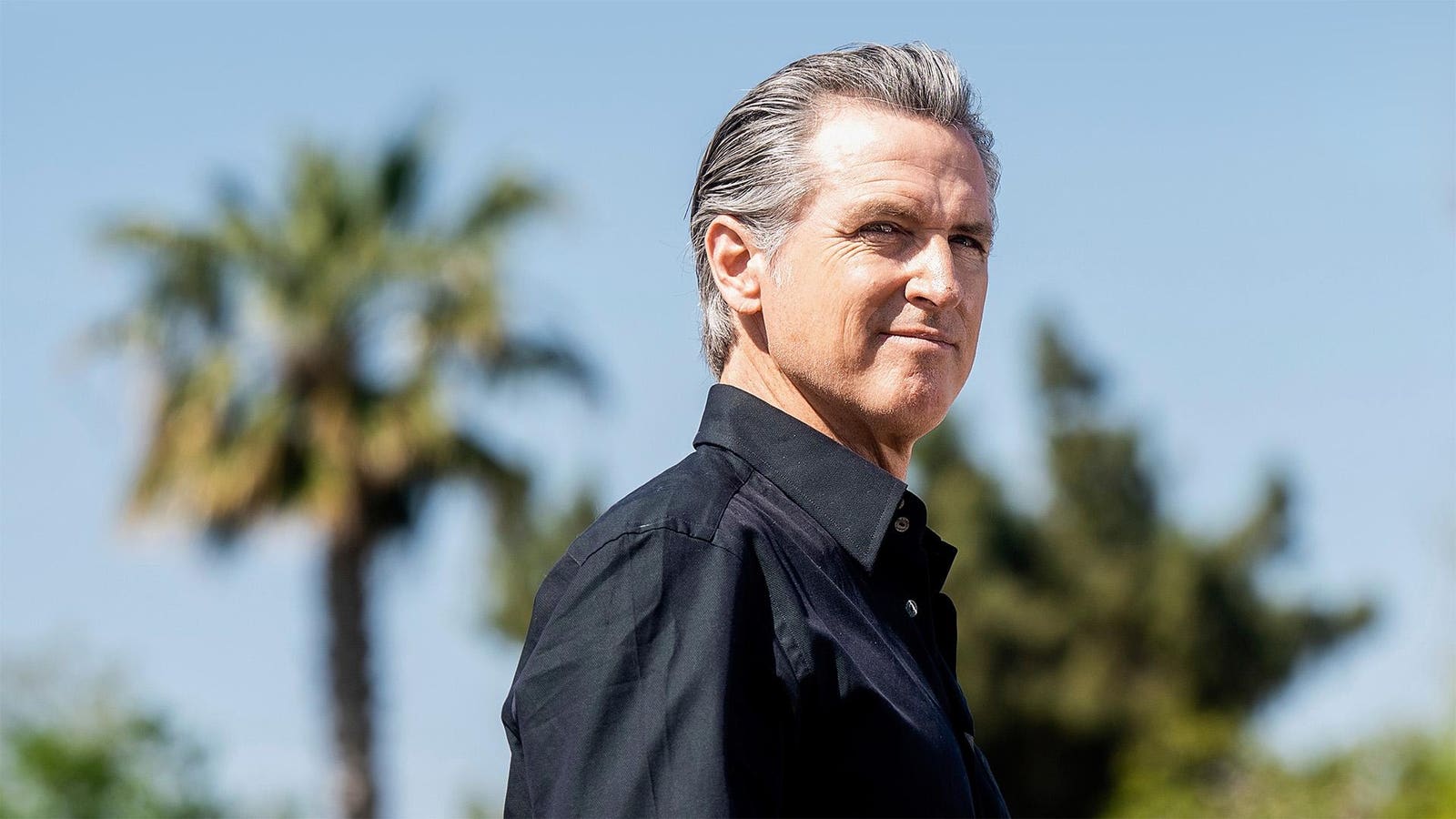 Here’s All The Vineyards, Restaurants And Properties In Which Gavin Newsom Owns Stakes