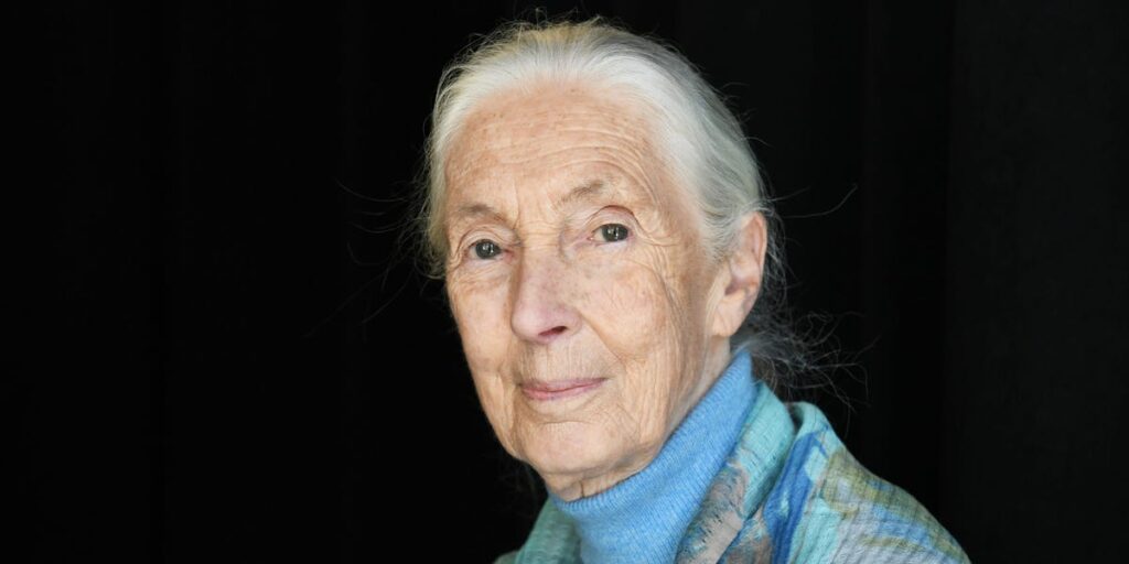 Jane Goodall's Lifestyle Habits That Helped Her Live to 91