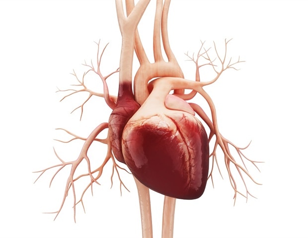 Lifestyle and stress erode heart health advantage in long-term US immigrants