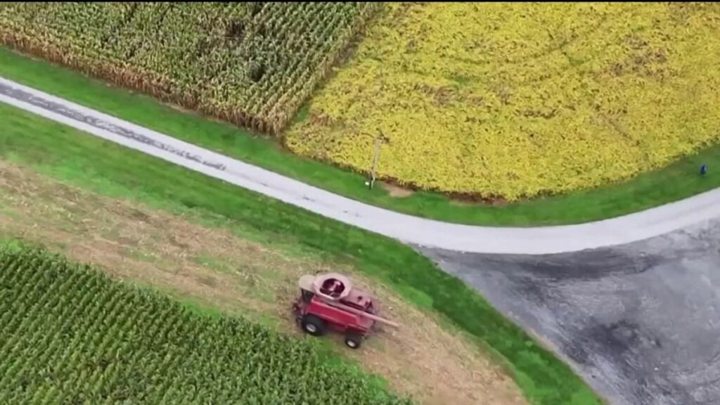 Maryland soybean farmers lose business from China amid trade war – NBC4 Washington