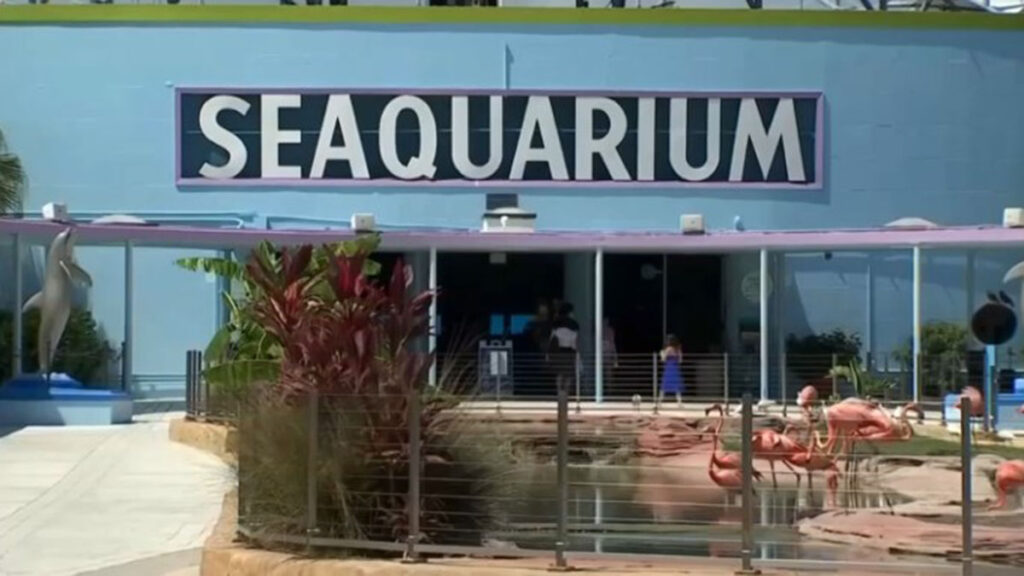 Miami Seaquarium closes its door after being in business for 70 years – NBC 6 South Florida
