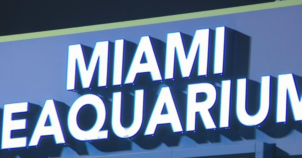 Miami Seaquarium to close after 70 years in business