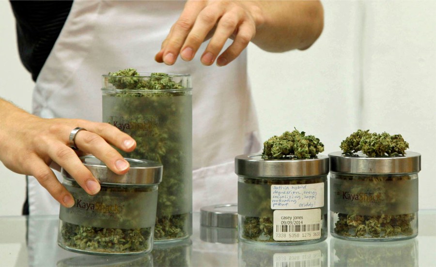 Portland cannabis businesses reported fewer crimes in 2024, data shows