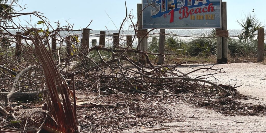 Siesta Key business owners look back on their recovery from Milton 1 year later