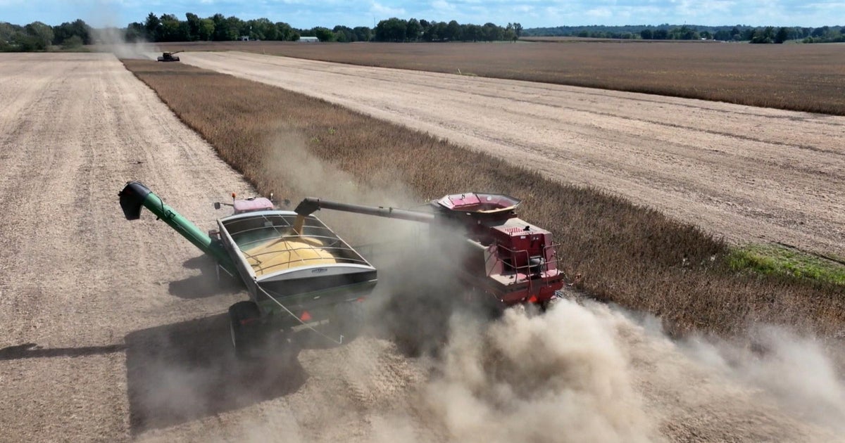 Soybean farmer details how trade war with China is impacting his business