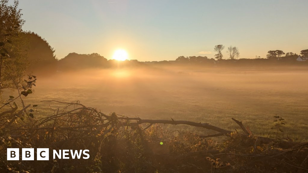 Sustainability a business priority, Jersey conference hears