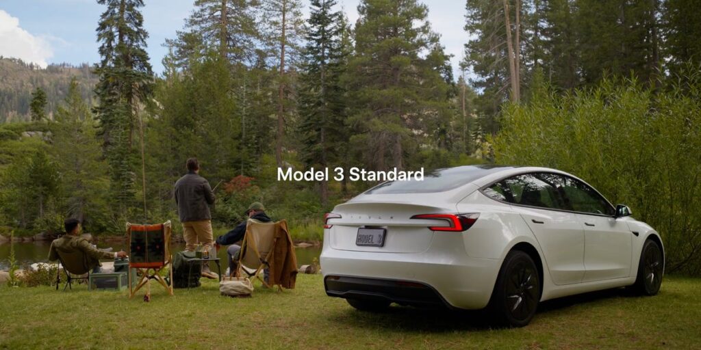 Tesla Reveals More Affordable Model Y and Model 3 Standard Vehicles