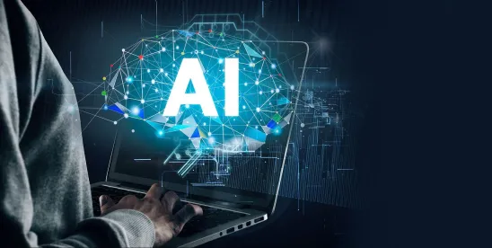 Agentic Artificial Intelligence Payment Information