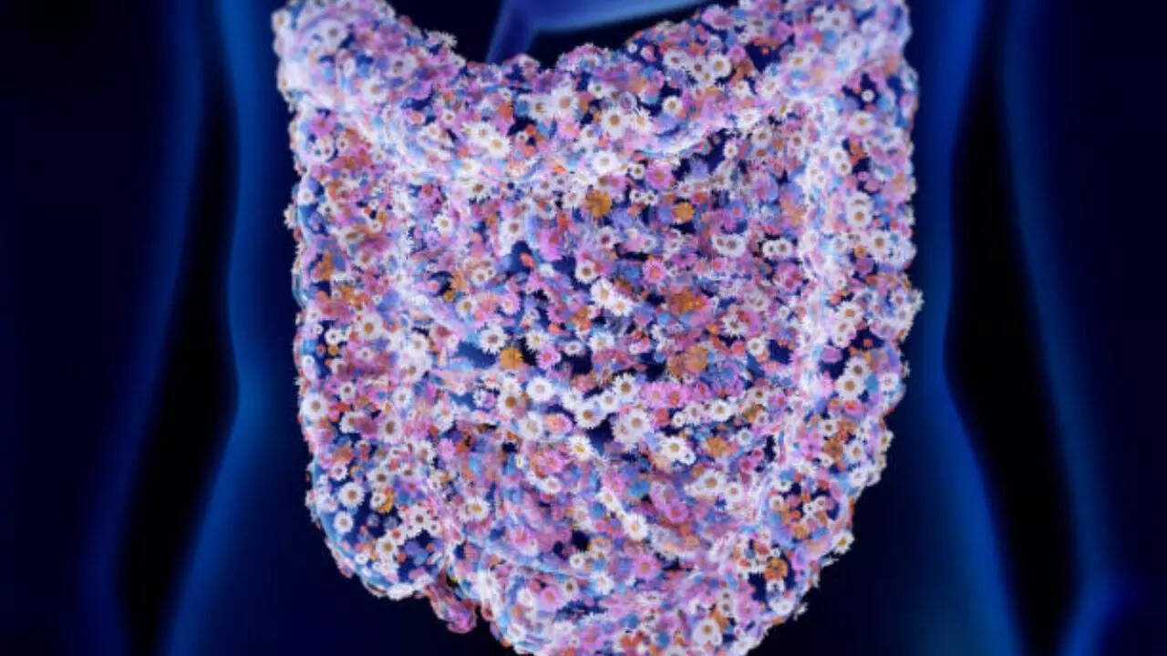 Top 5 best supplements for gut health