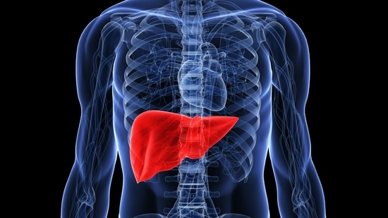 Liver cancer progresses silently, its symptoms often appear in the later, more advanced stages of the disease. (Twitter/AHealthyBod)