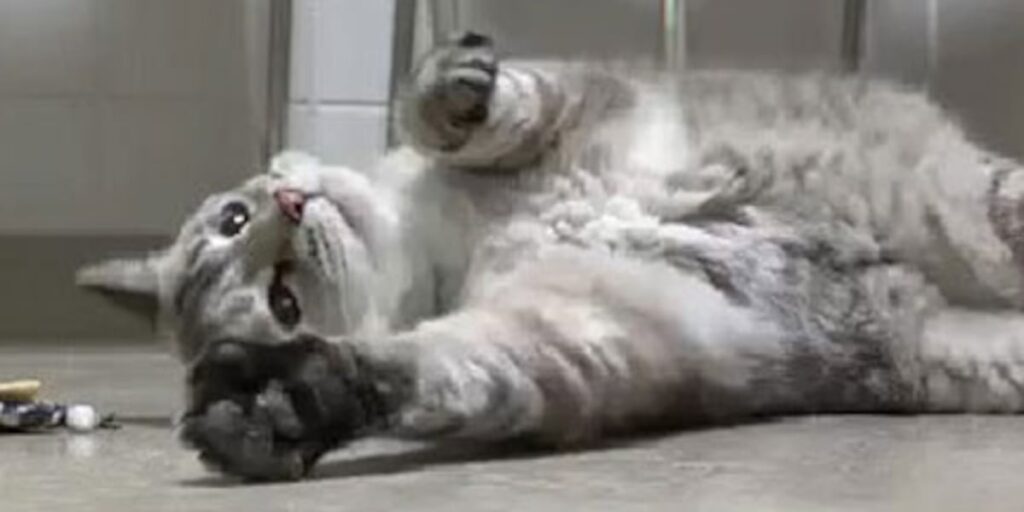 Local small business dubbed 2026 Superstar