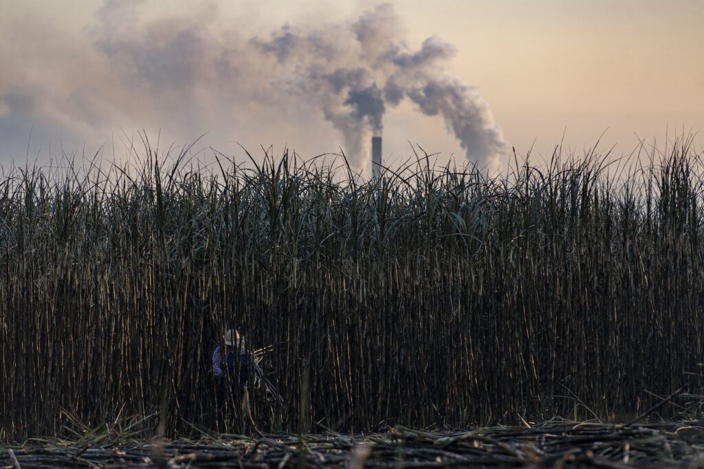 COP30’s biofuel gamble could cost the global food supply — and the planet