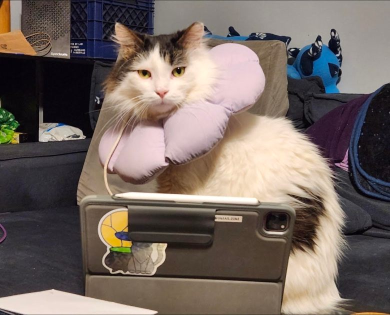 Ollie Richardson, Vitromancy Arts, Screw Factory, Small Business Saturday