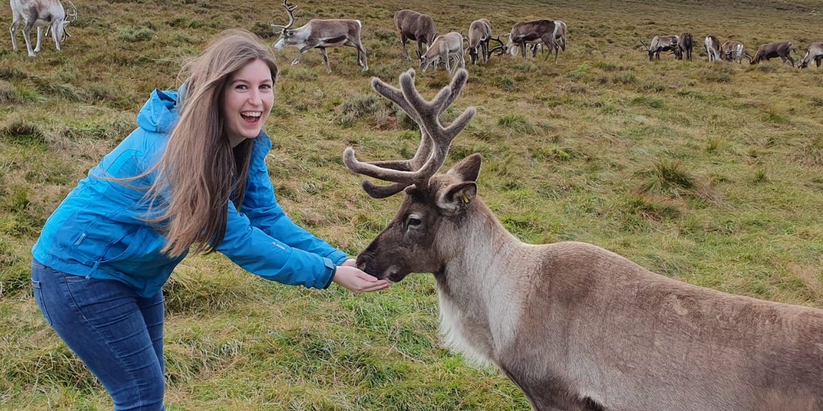 What Not to Do When Visiting the Scottish Highlands, From Local