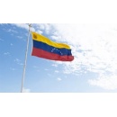 IATA Calls on Venezuelan Government to Reconsider Decision to Revoke Airline Operating Permits