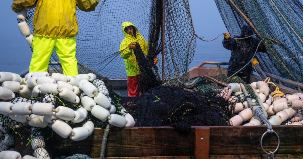 Opinion: Help wanted: King Cove seeks a partner who’s ready for business