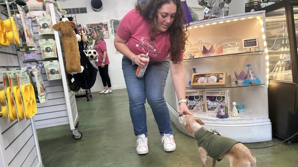 San Diego small business owners join nationwide push to attract holiday shoppers – NBC 7 San Diego