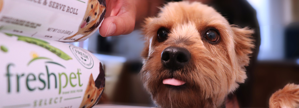 A Look at Align Technology’s Valuation Following Invisalign’s Philippine Launch and International Expansion