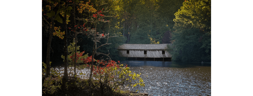 A Thanksgiving Letter From The Editor