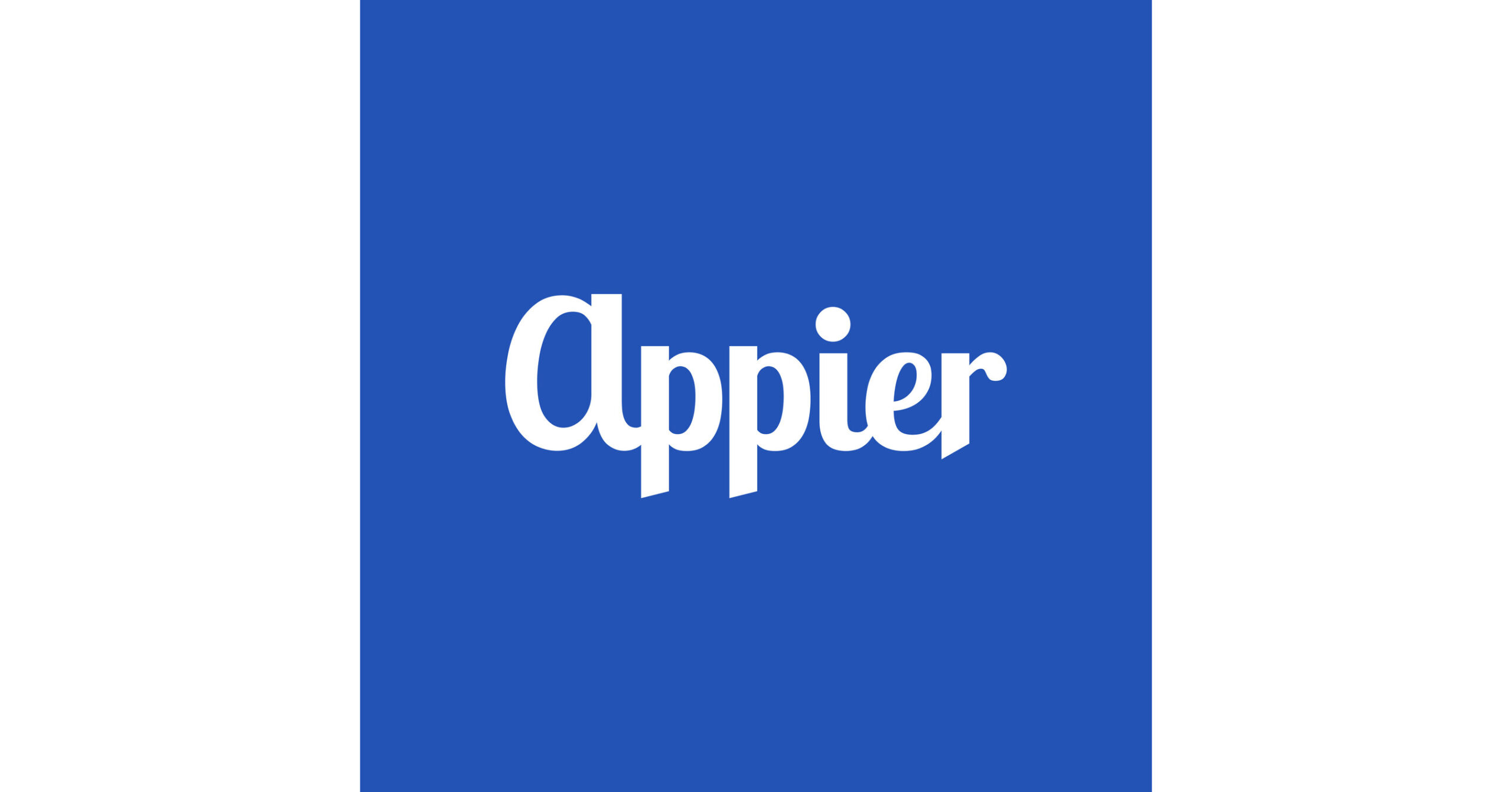 Appier achieved record revenue and profitability