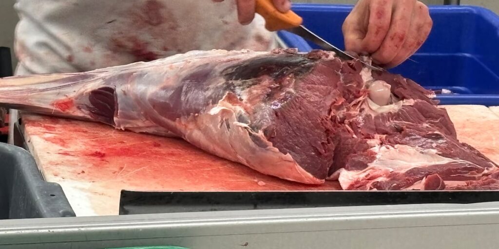 Escanaba deer processing business will take your deer to help feed families in Michigan