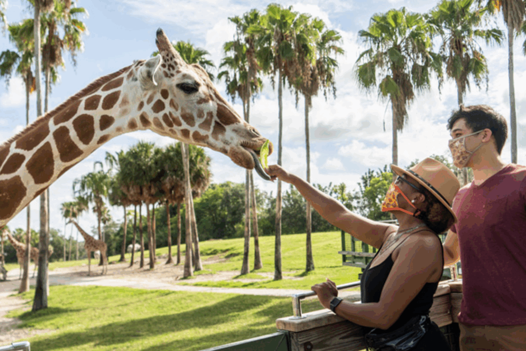 Feds launch probe into Busch Gardens, SeaWorld for rollator walker ban