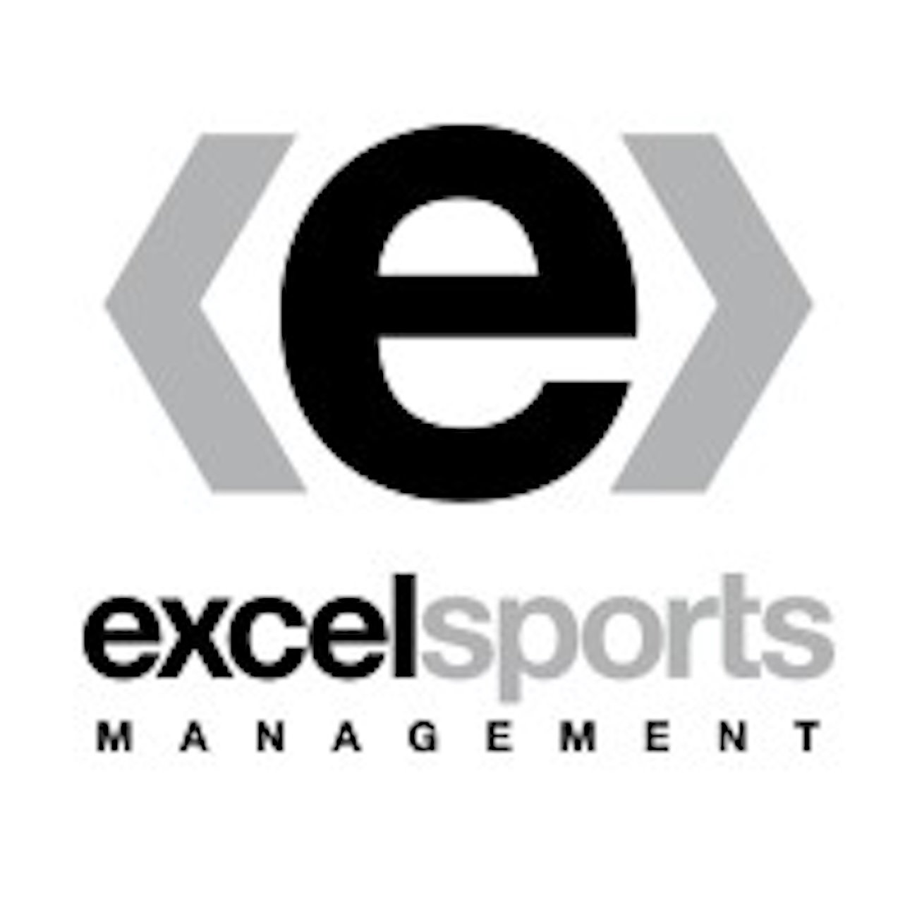 Goldman Sachs Forms Strategic Partnership With Excel Sports Management To Drive Global Expansion