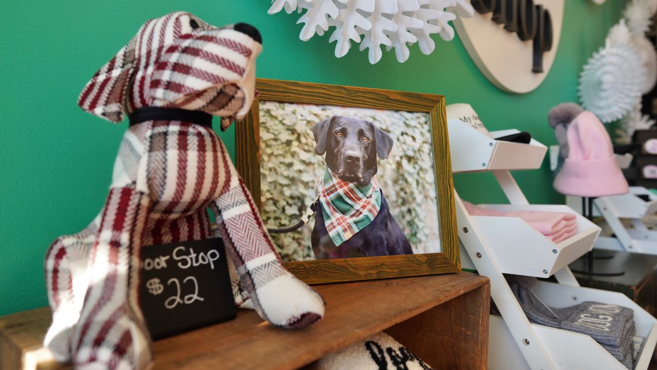 Kentucky gears up for Small Business Saturday