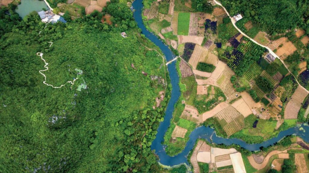 Leading with Purpose: Business Leaders Guide to a Just Climate Transition Out Now