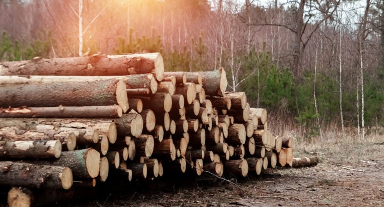 NU E Power Corp. Strengthens Board Amid Global Expansion