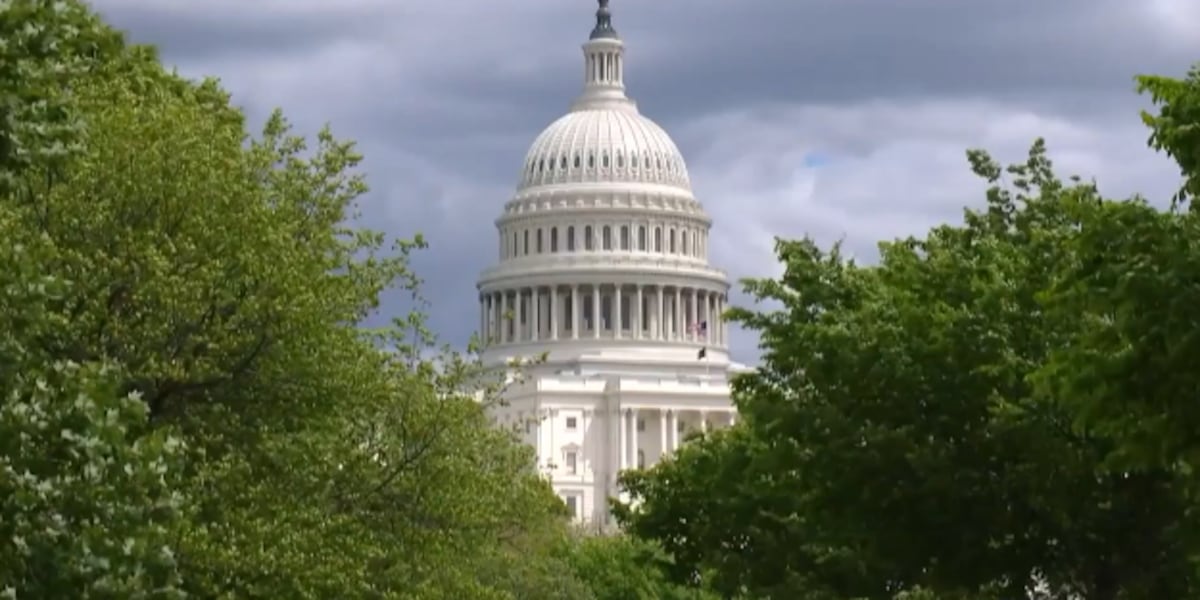 Small business leaders discuss economic issues with Congress