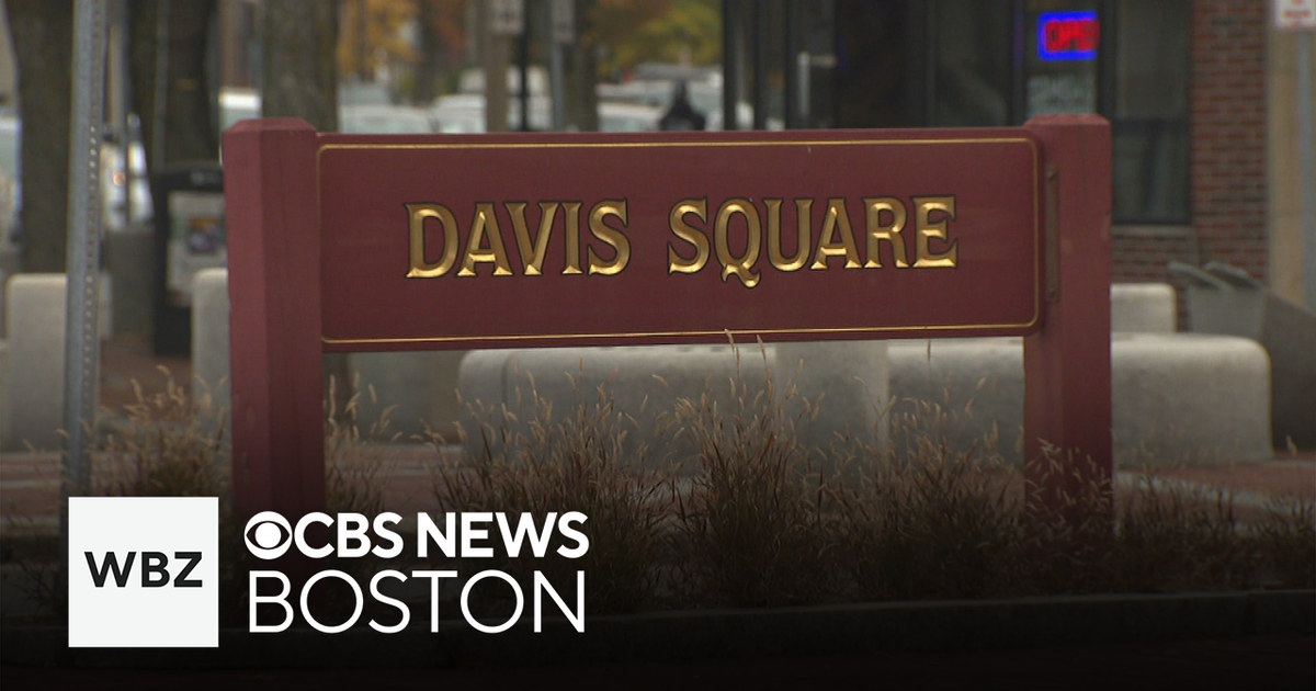 Somerville business owners hope new mayor improves Davis Square safety